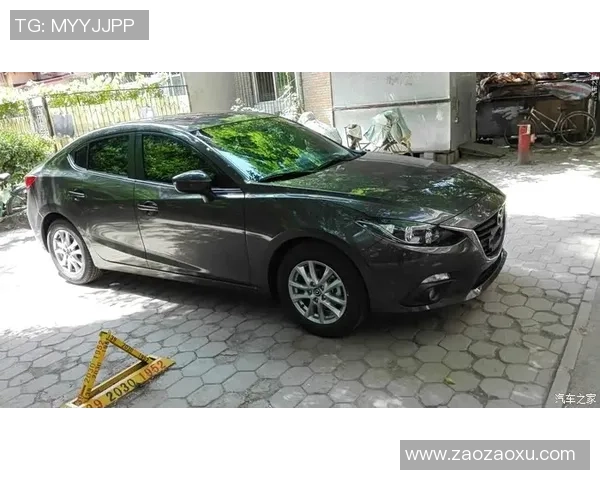 杭州排球队进攻战术解析与热点动态全方位解读